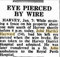 Eye Pierced by Wire [ jpg ]