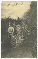 Portrait of Dr Geoffrey Hampden Vernon [ jpg ]