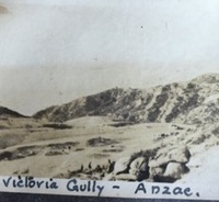Photo of Anzac Victoria Gully [ jpg ]